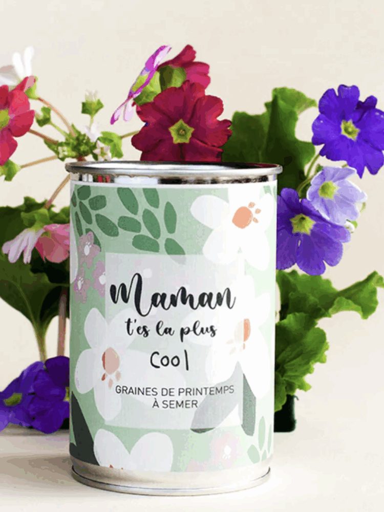 Kit à semer "Maman t'es la plus Cool"