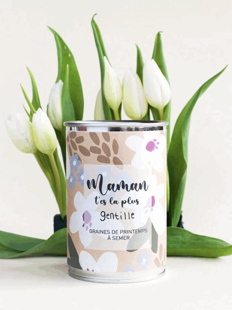 Kit à semer "Maman t'es la plus gentille"