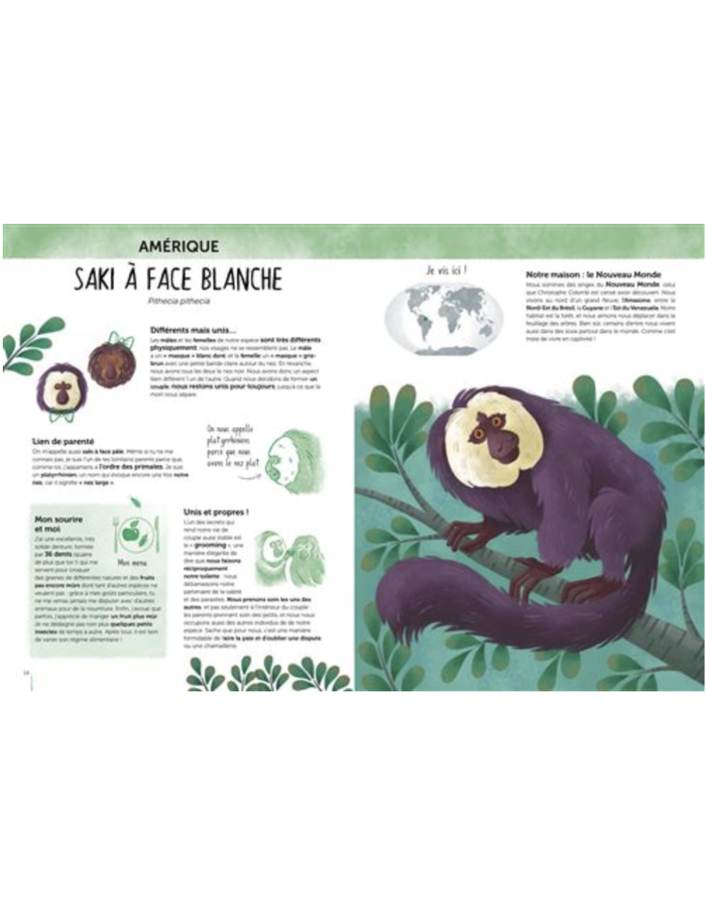 L'Atlas de la biodiversité. Animaux insolites et curieux – Image 2
