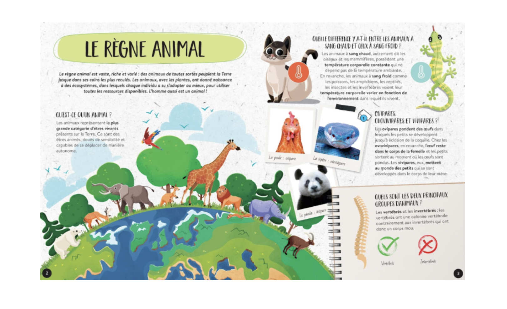 Le coffret du méga atlas des animaux – Image 4