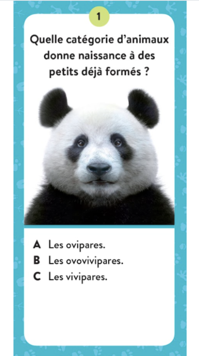 Le coffret du méga atlas des animaux – Image 5