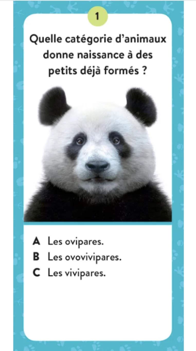 Le coffret du méga atlas des animaux – Image 5
