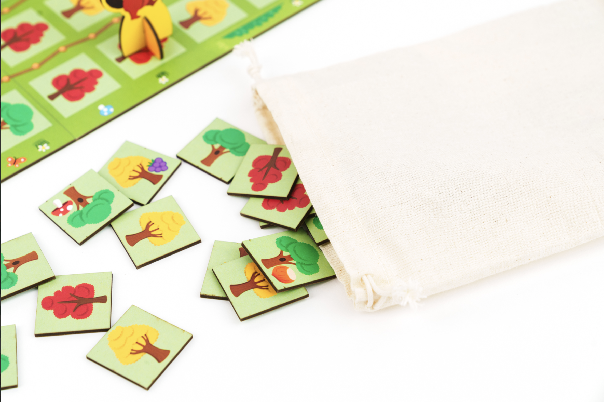 Forest First – Image 3