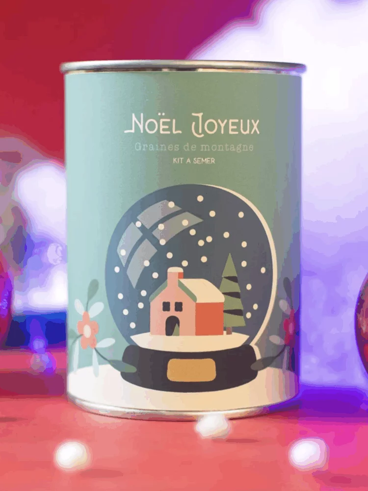 Kit à semer "Noël Joyeux (boule à neige)"