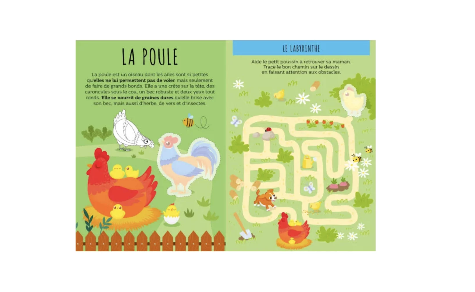 Le super 7 familles : la ferme – Image 3
