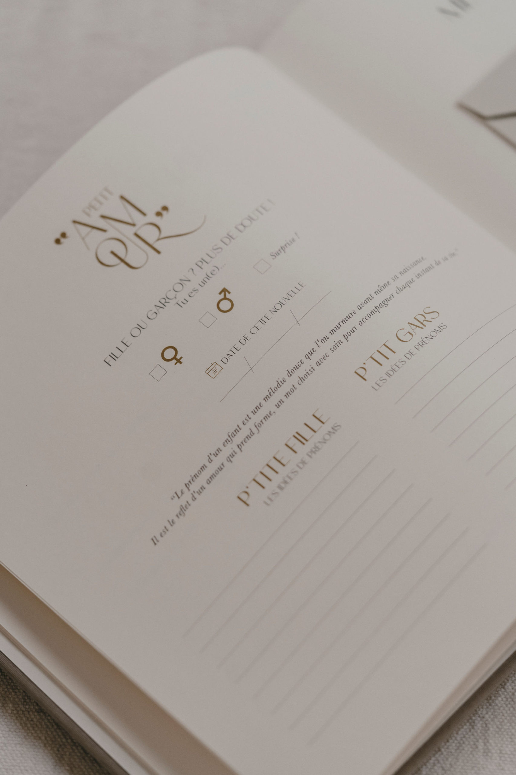 Livre de naissance Petit Amour Sauge – Image 4