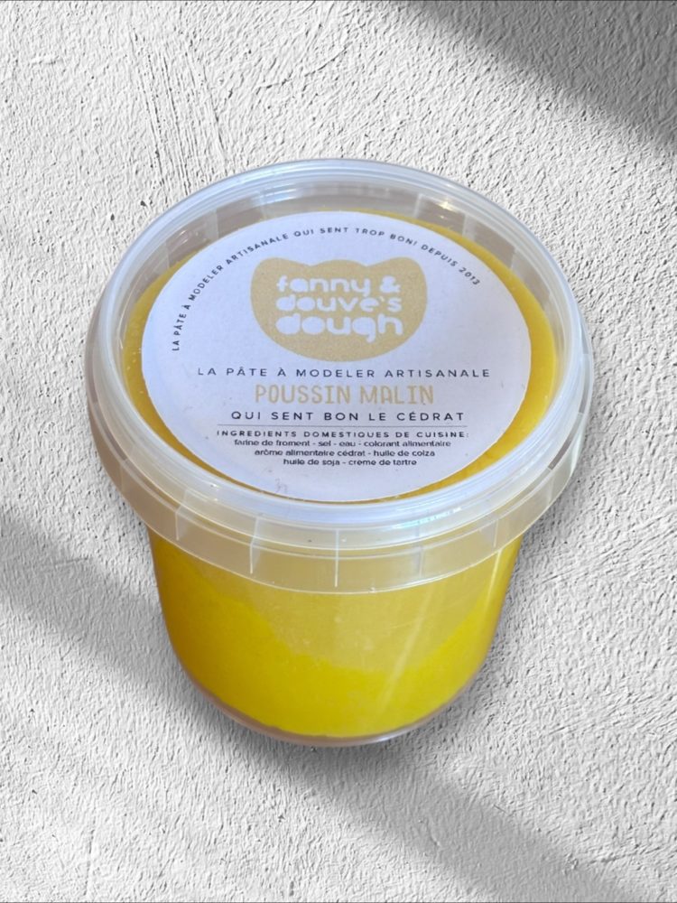 Pâte à modeler – Poussin malin