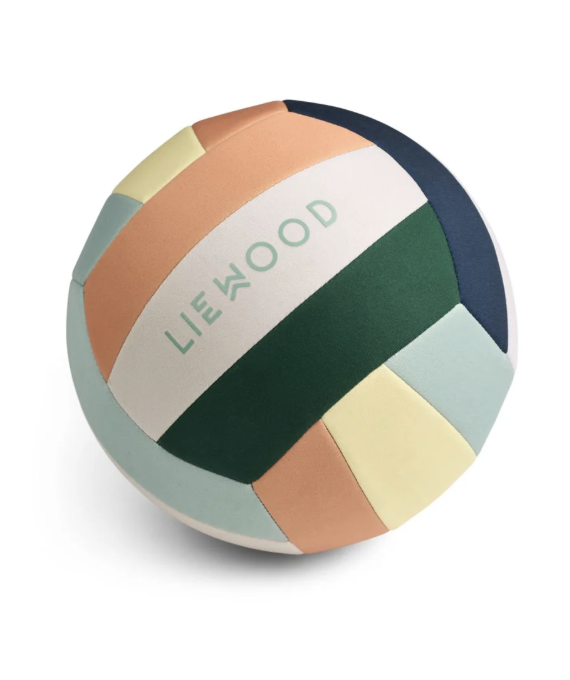 Ballon de Volley