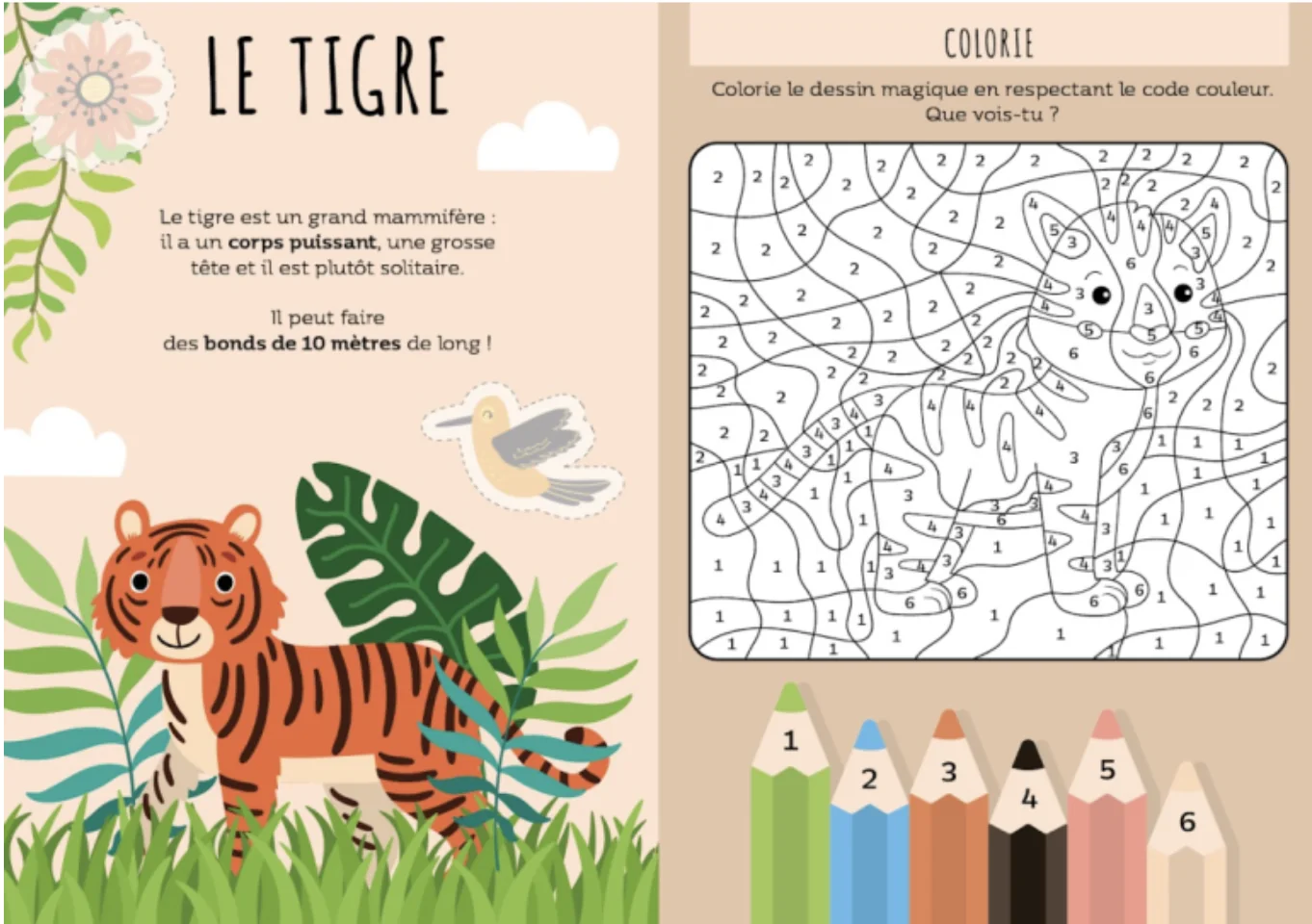 Le super 7 familles La jungle – Image 3